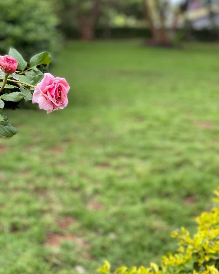 Mkoani Homestay 모시 외부 사진