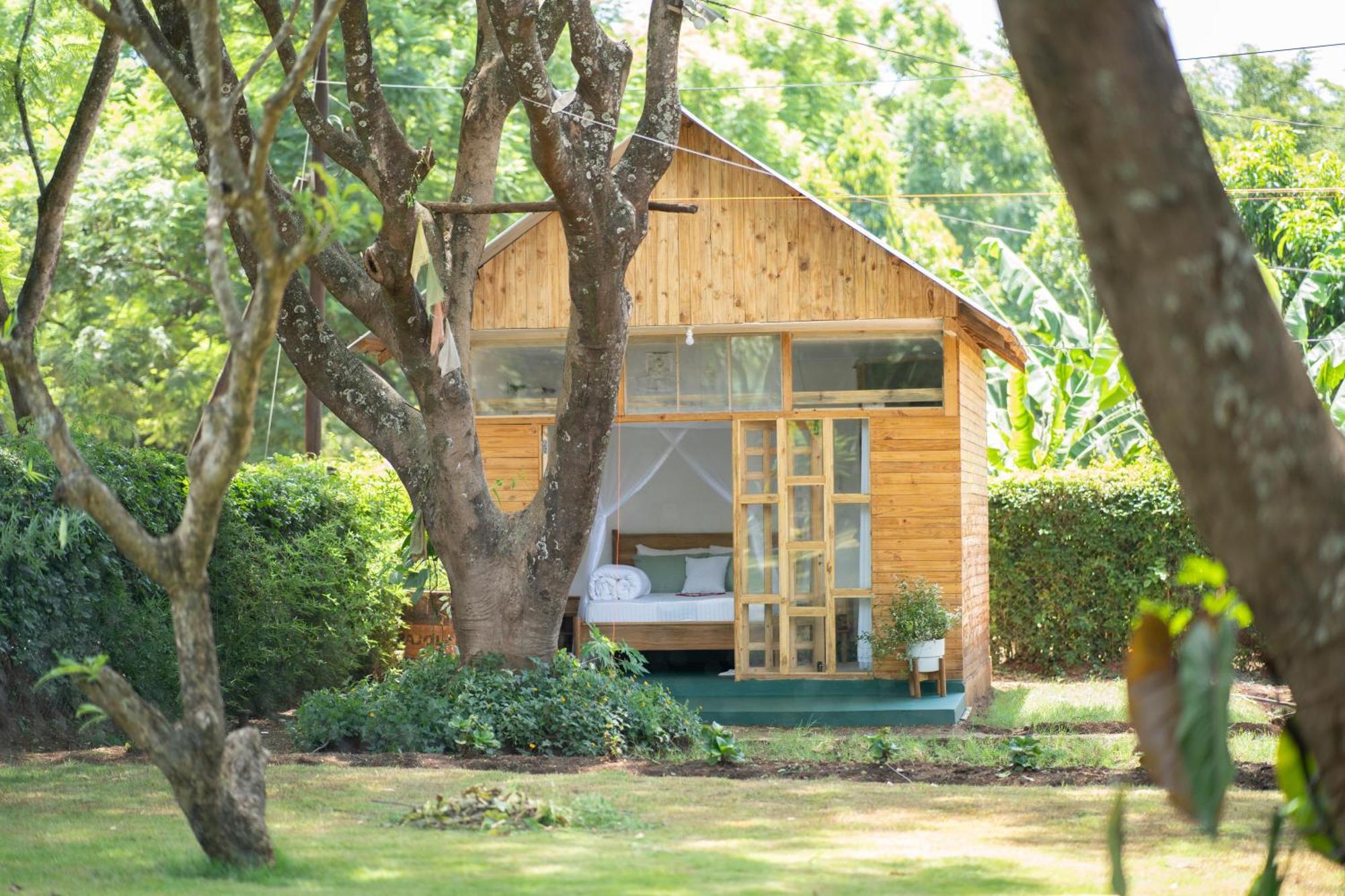 Mkoani Homestay 모시 외부 사진